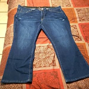 EVRI Bootcut Jeans